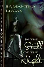In the Still of the Night- Cover Art